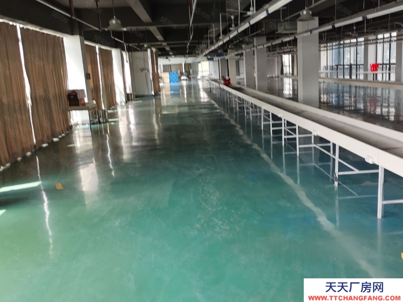 (出租) 合肥 肥東開發區標準框架一樓廠房11元出租，