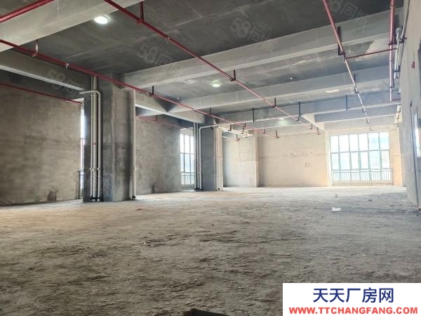 株洲市天元區(qū) 租金優(yōu)惠,交通便利,寬敞明亮,通風(fēng)良好,毛坯適合各行各業(yè)加入