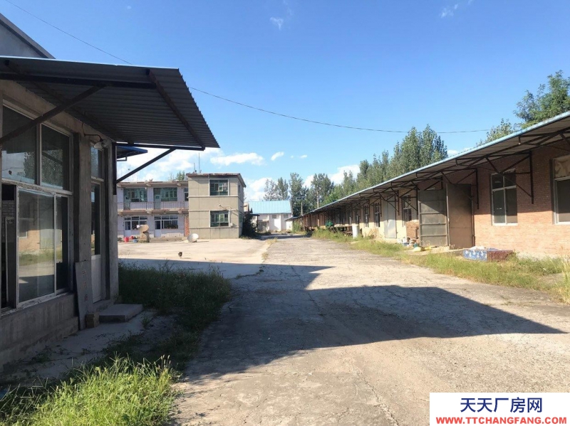 保定 定興 雄安周邊 定興縣高里鄉高里廠房倉庫庫房出租 12000平米