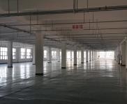 (出租)宜昌點(diǎn)軍 1600平米單層廠房出租,空地大,價(jià)格便宜