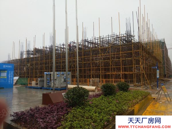 株洲市天元區(qū)磚混獨棟2層半,一樓層高8.1米,送露臺300平,可定制化