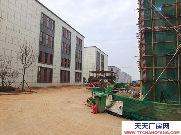 株洲市天元區獨棟廠房，超高1層8.1米，贈送露臺，現房