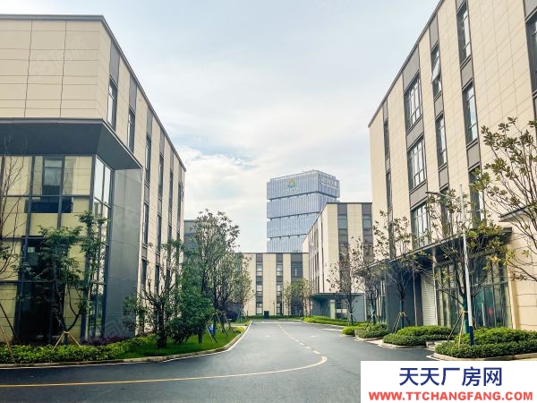 株洲市天元區動力谷核心區小面積單層廠房