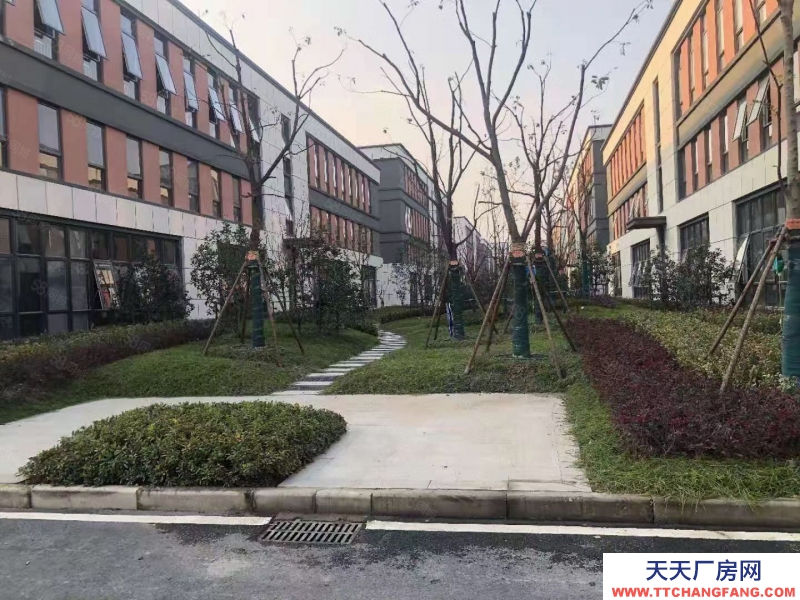 杭州淳安(出售) 出售千島湖高優惠政策低首付廠房,可定制,5百方1.2萬方