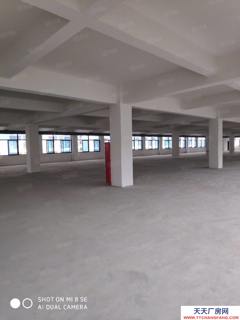 (出售) 合肥 肥西框架廠房4萬(wàn)方占地30畝