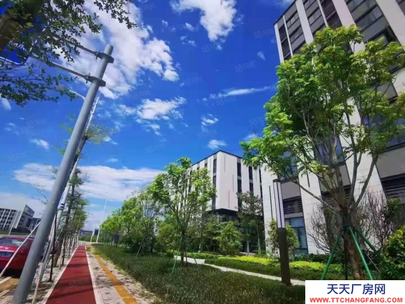 (出售) 合肥 肥西10年租金換獨棟!高端制造產業聚集!品質園區!低首付!