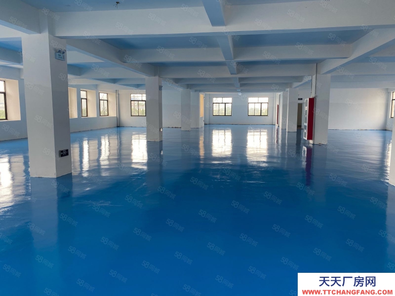 (出租) 合肥 肥西 電商福音 整層1200平 全新廠房
