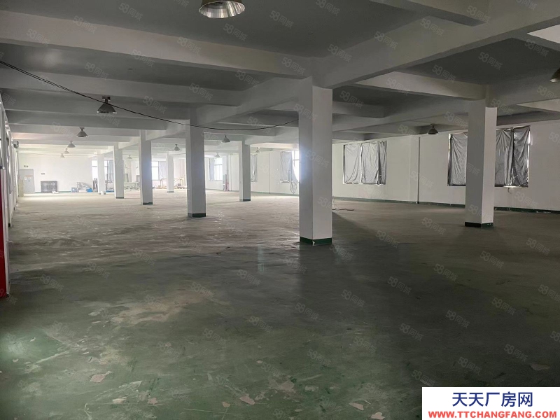 (出租) 合肥 肥西 房東直租,桃花標準框架廠房,1樓已空可分租