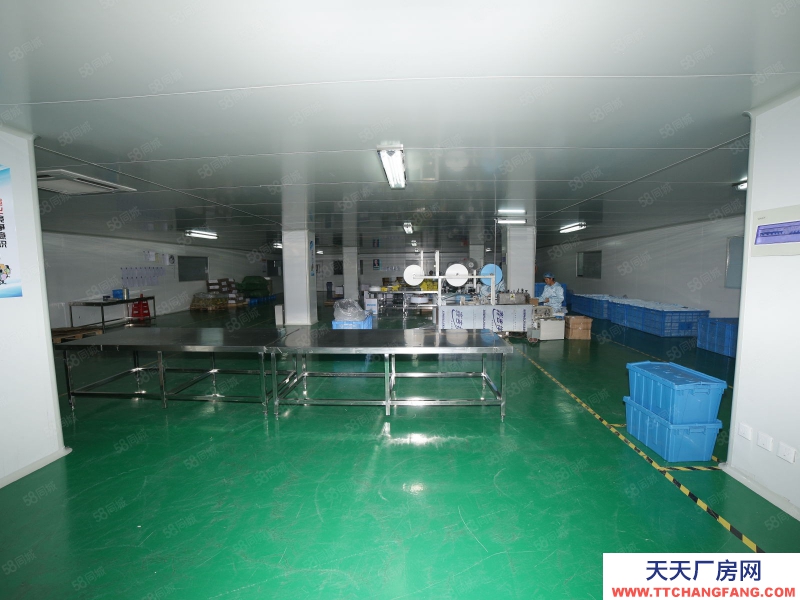 (出租) 合肥 肥西 房東直租,桃花標準框架廠房,1樓已空可分租