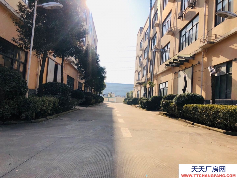 (出租) 合肥 肥西森林大道旁獨棟廠房出租,價格優惠