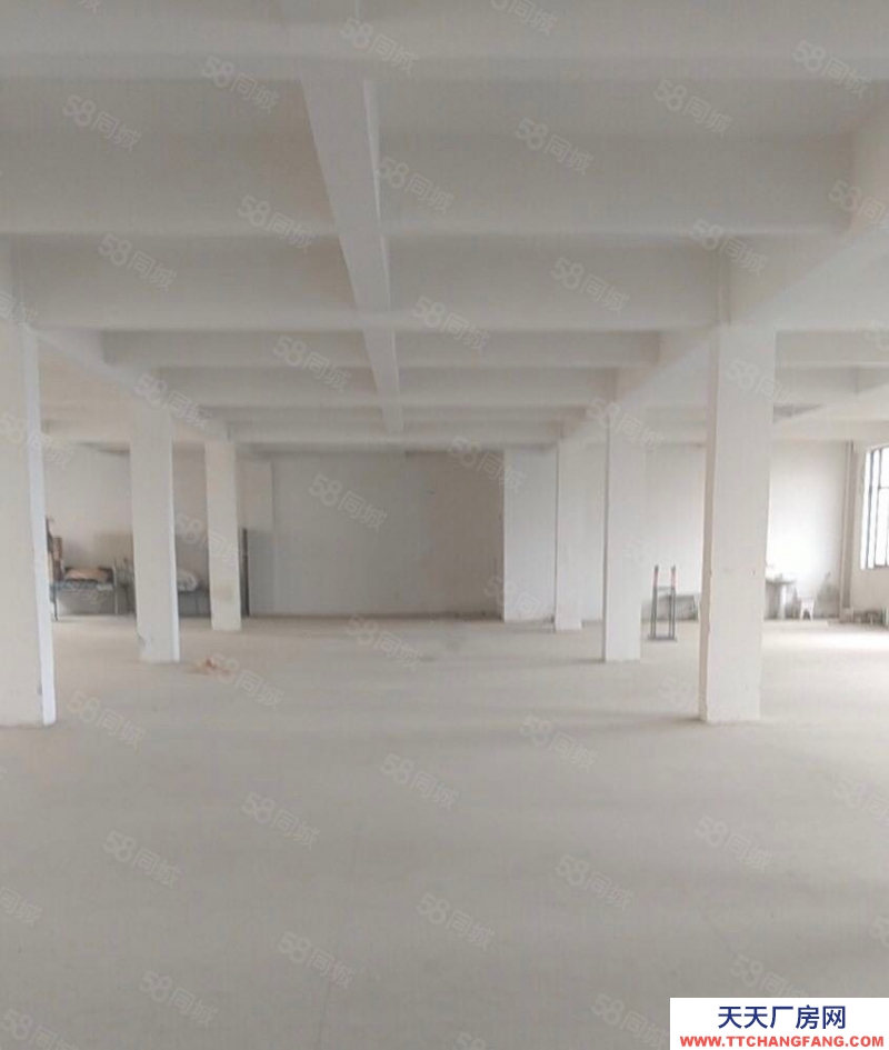 (出租) 合肥 肥西森林大道旁獨棟廠房出租,價格優惠