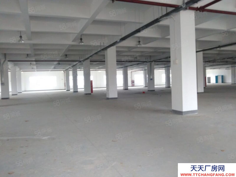 (出租) 合肥 肥西500平米至5000平米框架結構