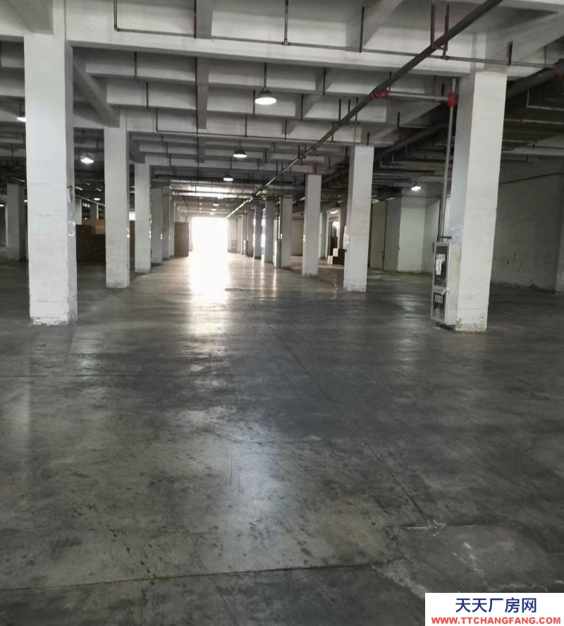 (出租) 出合肥 肥西肥西周邊，冷鏈倉儲