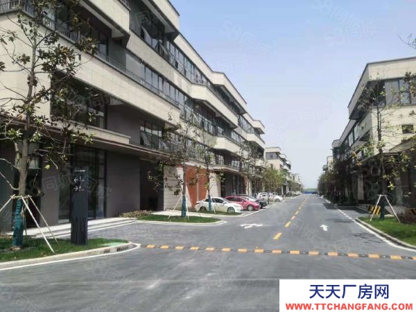 (出租) (蕪湖 鳩江全新廠房出租出售,首層8.1米,環境好,好招工