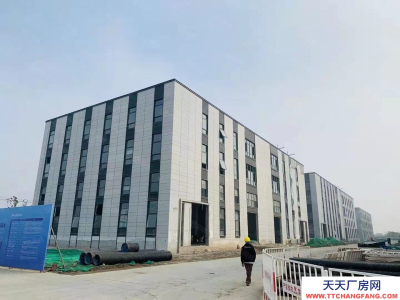 (出租) (蕪湖 鳩江全新廠房出租出售,首層8.1米,環境好,好招工