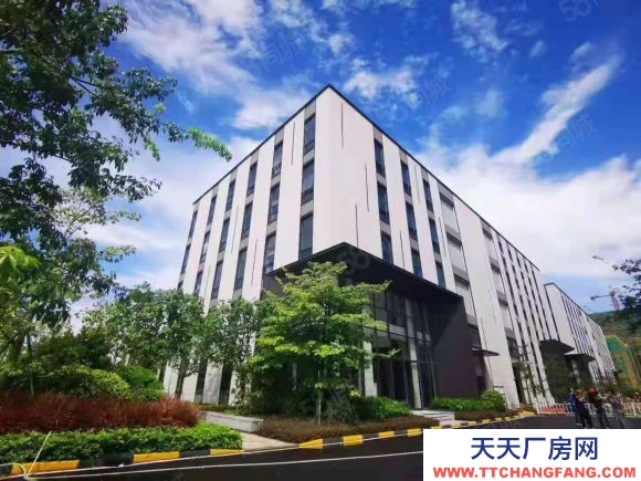 (出售) 蕪湖 鳩江區蕪湖東高速旁邊,全新廠房出租出售,800平起