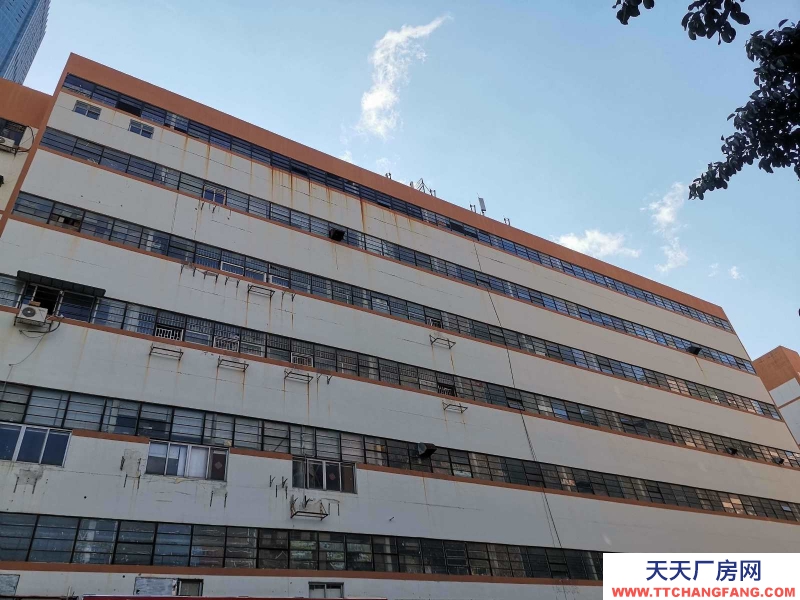 (出租) 深圳羅湖筍崗倉庫出租,業主直租,看房隨時