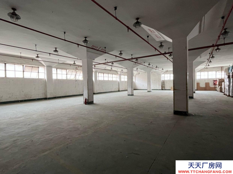 (出租) 深圳羅湖現有倉庫出租,散租定租既可