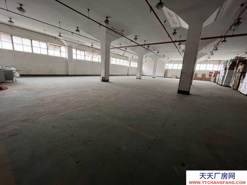 (出租) 深圳羅湖現有倉庫出租，散租定租既可