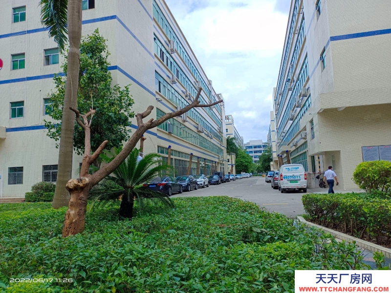 (出租) 深圳福田保稅倉7000平方國企業主直租