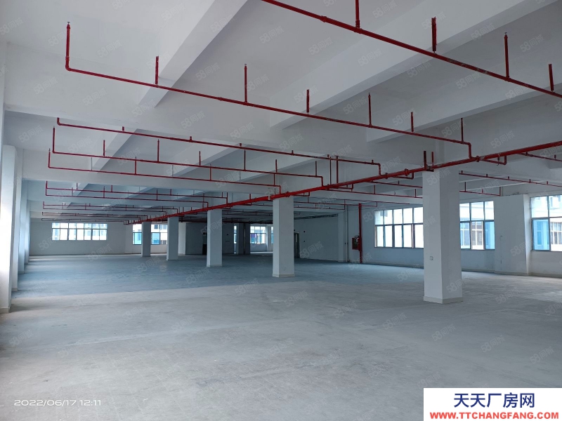 (出租) 深圳福田保稅倉7000平方國企業(yè)主直租