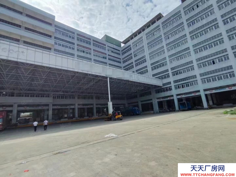 (出租) 深圳南山西麗獨(dú)院鋼混倉庫8000平可自由分割適合倉儲(chǔ)物流冷庫辦公