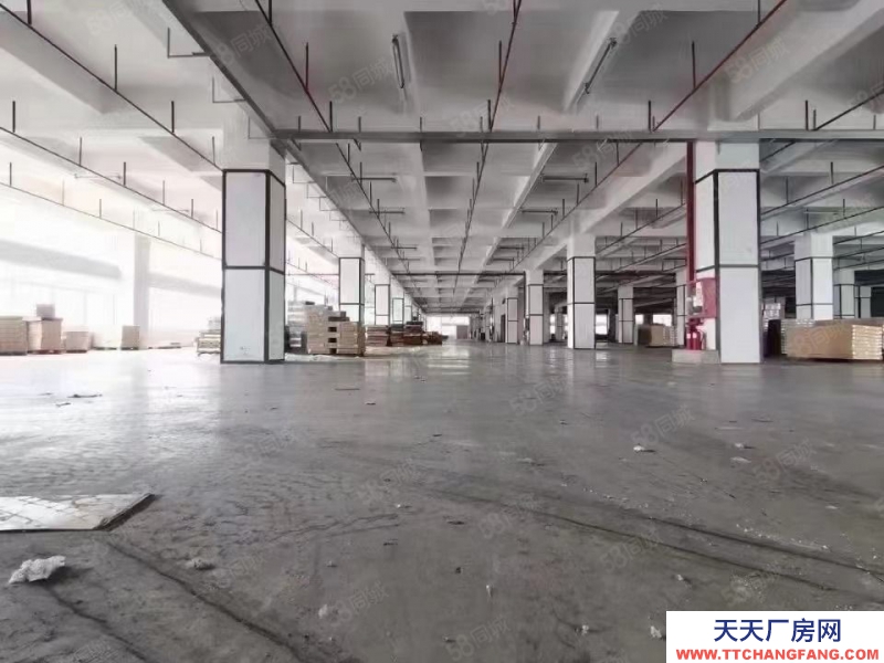 (出租) 深圳南山西麗獨(dú)院鋼混倉庫8000平可自由分割適合倉儲(chǔ)物流冷庫辦公