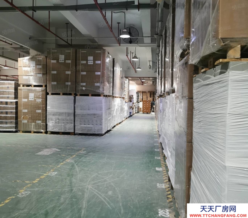 (出租)深圳 南山專業倉庫，提供倉儲儲托管