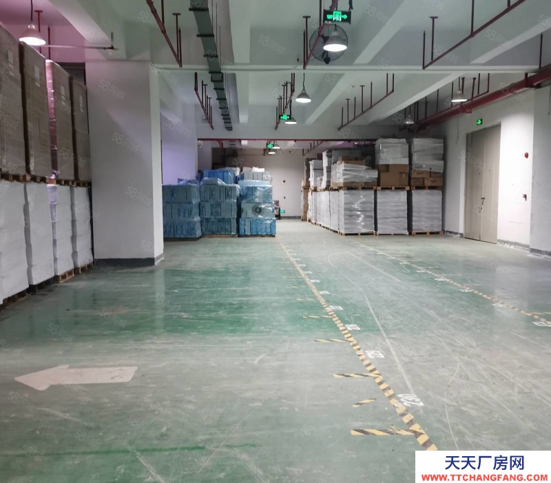 (出租)深圳 南山專(zhuān)業(yè)倉(cāng)庫(kù),提供倉(cāng)儲(chǔ)儲(chǔ)托管