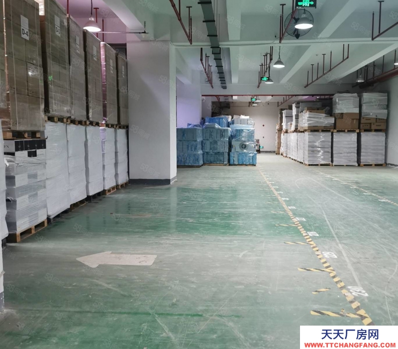 (出租)深圳 南山專(zhuān)業(yè)倉(cāng)庫(kù),提供倉(cāng)儲(chǔ)儲(chǔ)托管