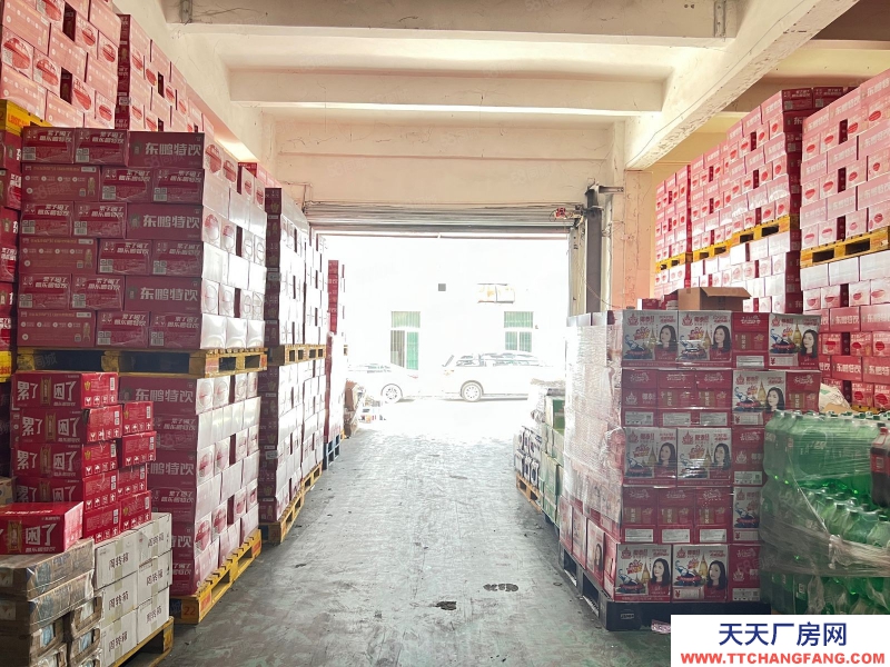 (出租) 深圳南山一樓廠房1000平 原房東出租 高5米不限行業