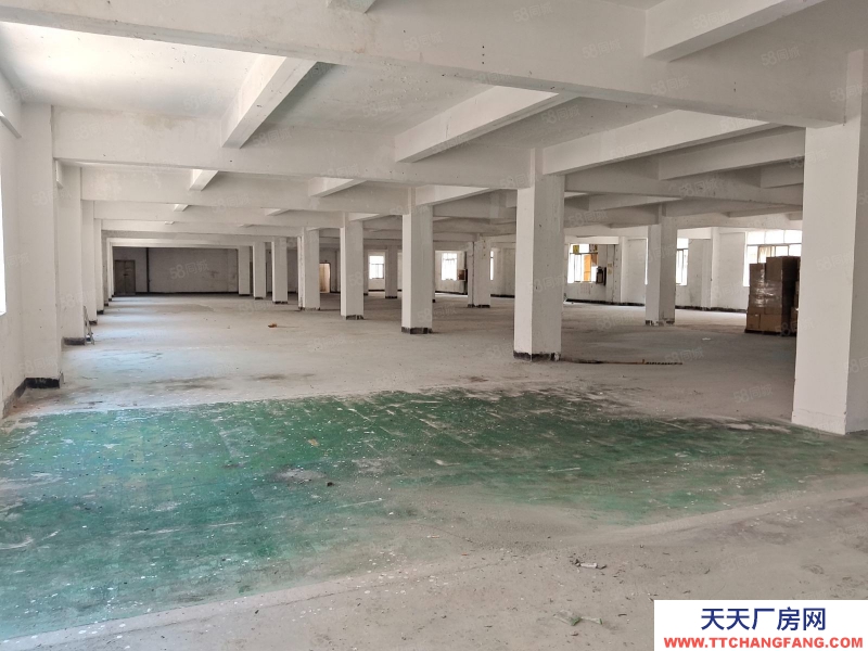 (出租)深圳寶安 印刷廠西鄉原房東一樓650平3樓1450平4樓1450平可分