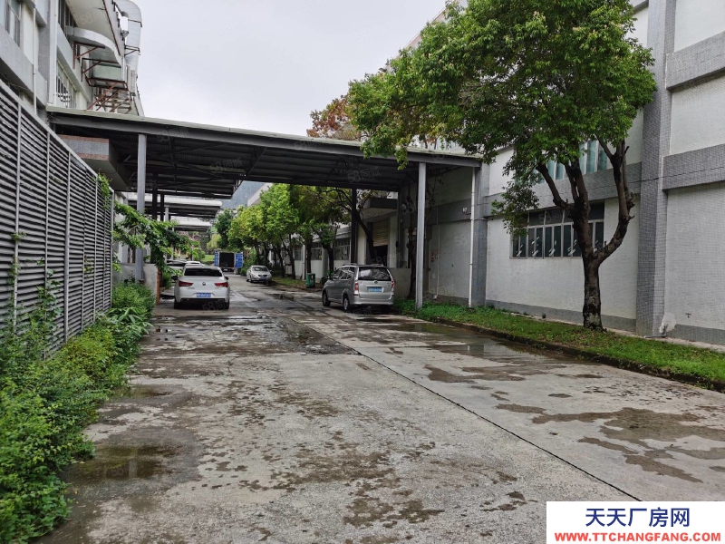 (出租) 深圳寶安福永紅本獨院鋼構3000平一樓廠房出租可分租低價物流倉庫合租