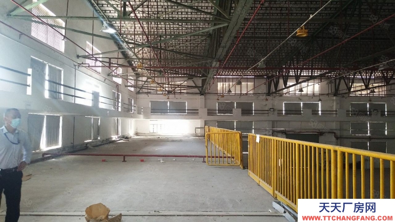 (出租) 深圳寶安福永紅本獨院鋼構3000平一樓廠房出租可分租低價物流倉庫合租