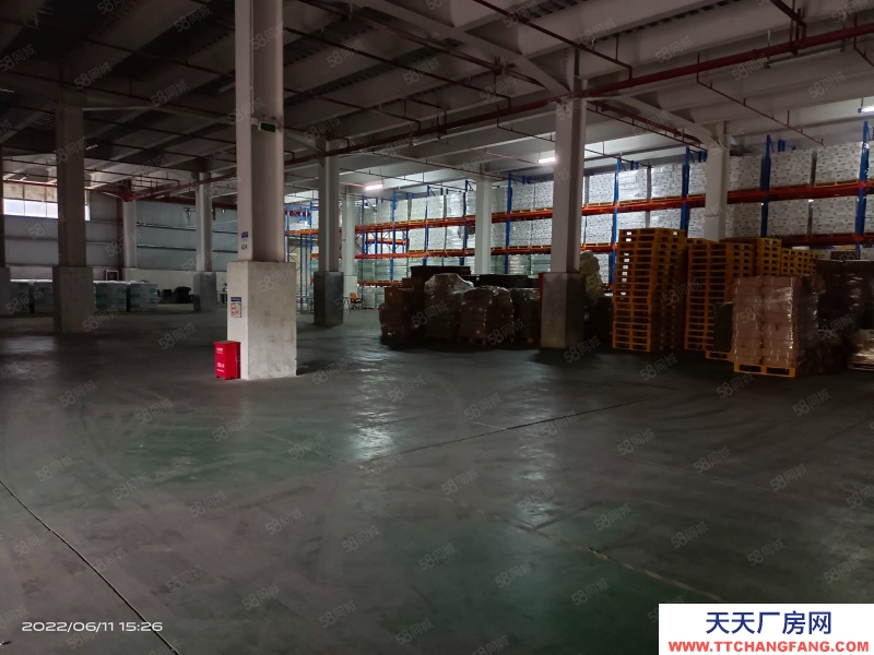 (出租) 深圳龍崗近鹽田港鋼結構高臺庫原業主可分割出租