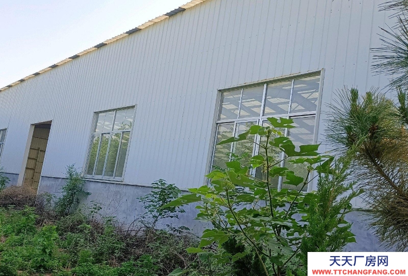 淄博臨淄倉庫,倉儲大院出租廠房