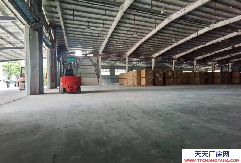 (出租) 深圳鹽田港倉儲服務大小面積可分租，配套托管團隊服務