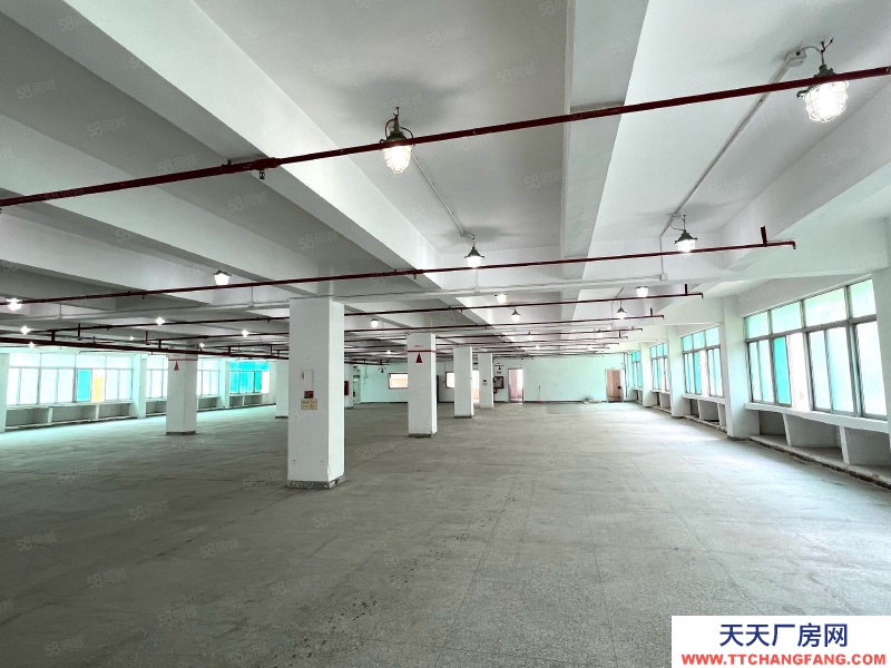 (出租) 深圳鹽田房東直租,沙頭角電商基地10棟5樓整層2100平出租