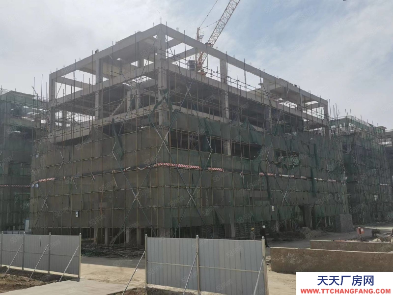 保定 定興 企業獨棟 廠房庫房 研發辦公 倉儲展廳 800平起 食品可落