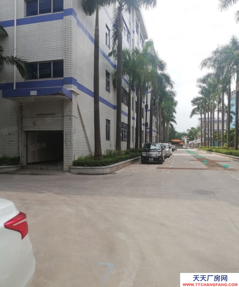 (出租) 深圳羅湖布吉木棉灣科技園1000平可分26一平，電商倉儲加工辦公