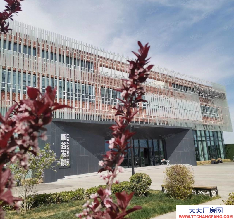 保定 定興 園區(qū)獨棟 廠房庫房 展廳辦公 食品可落 贈一層面積