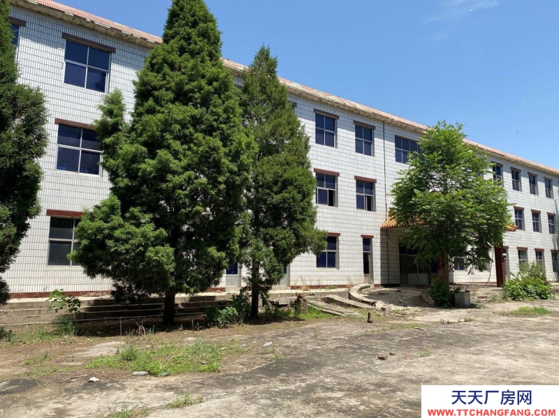 保定 唐縣 整棟樓。共三層。二樓通透,三樓通透。一樓有部分辦公室