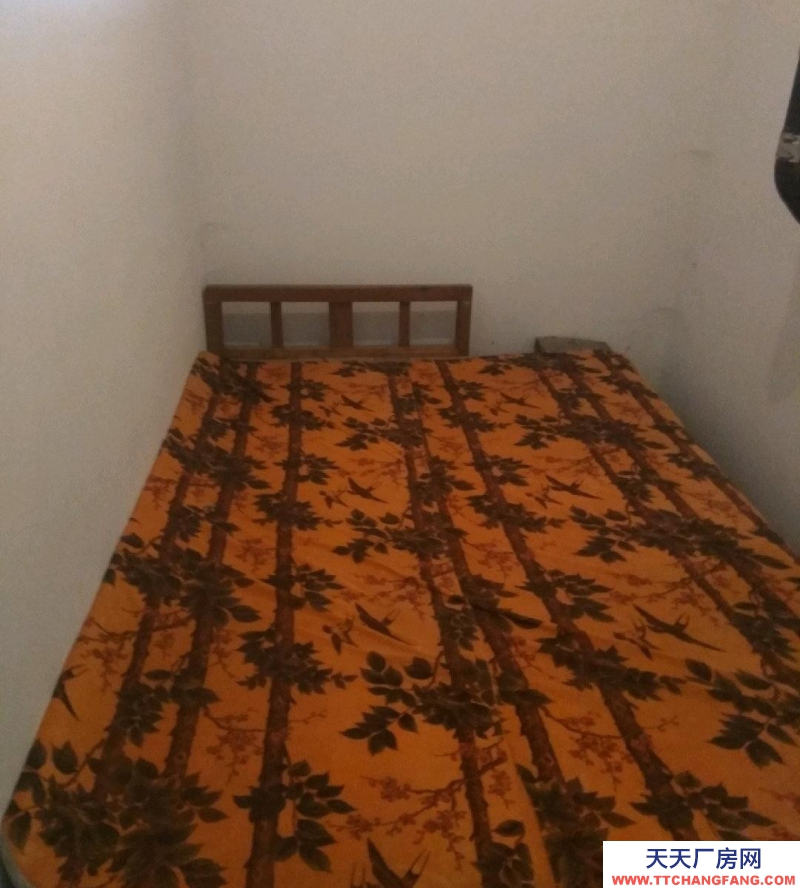 保定 易縣 金塘花園半地下室出租