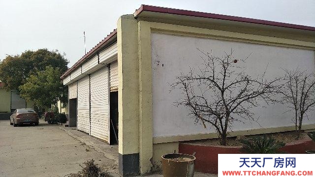 保定 望都 107國道路邊大車出入方便