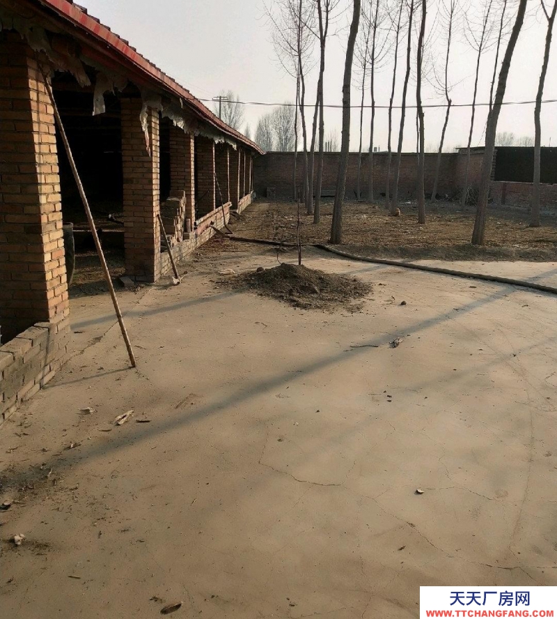 保定 望都可以改造，有大棚。可以養(yǎng)殖。有大院兒，有大棚。