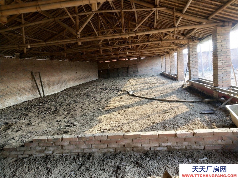 保定 望都可以改造,有大棚。可以養(yǎng)殖。有大院兒,有大棚。