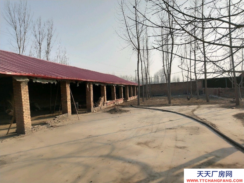 保定 望都可以改造,有大棚。可以養(yǎng)殖。有大院兒,有大棚。