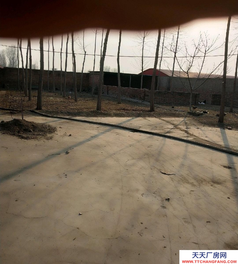 保定 望都可以改造,有大棚。可以養(yǎng)殖。有大院兒,有大棚。