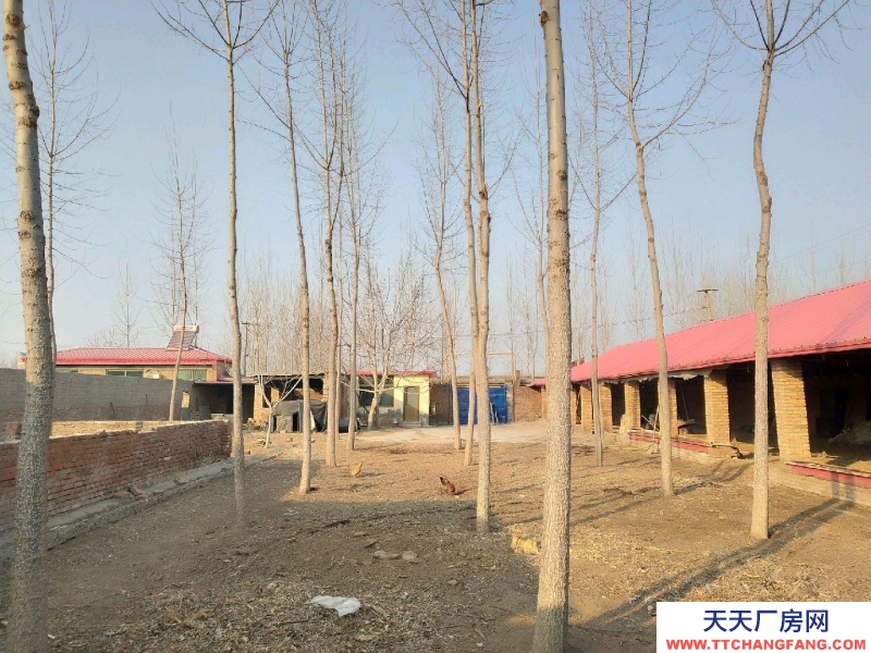 保定 望都可以改造,有大棚。可以養(yǎng)殖。有大院兒,有大棚。