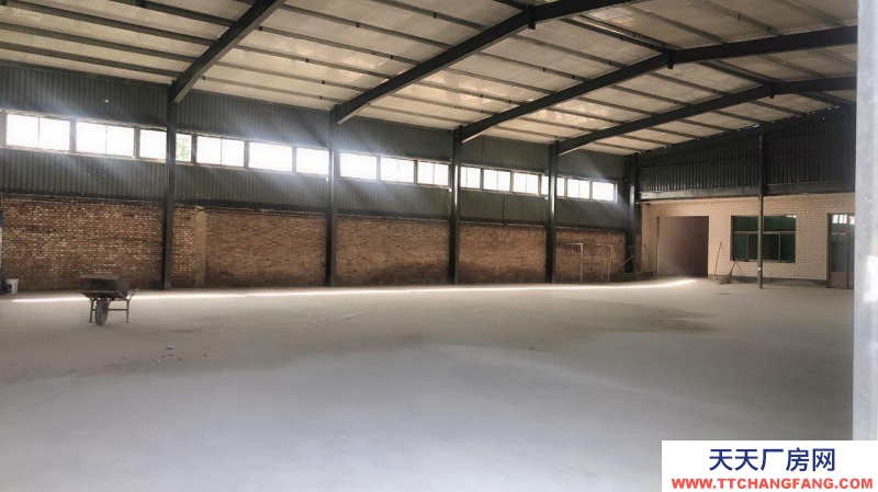 保定 望都  鋼構全新庫房550平，200平辦公室